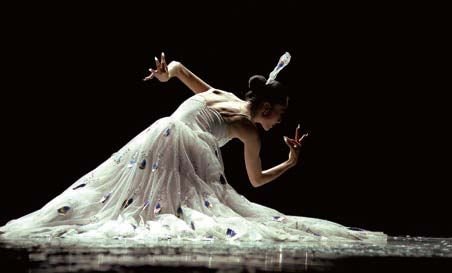 杨丽萍孔雀舞图片