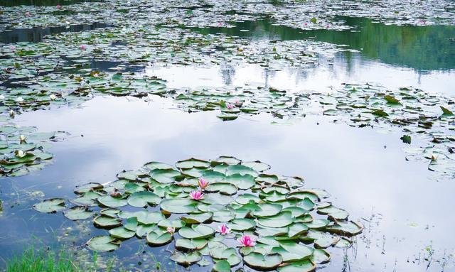 贵阳唯一的5A级旅游景区青岩古镇，门票免费吗？
