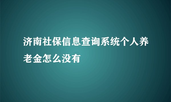 济南社保信息查询系统个人养老金怎么没有