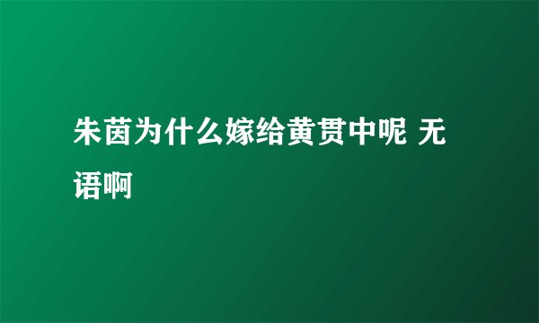 朱茵为什么嫁给黄贯中呢 无语啊