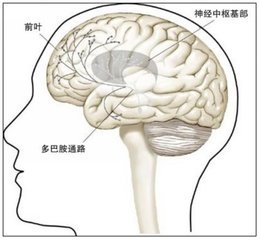 怎样让人容易产生多巴胺