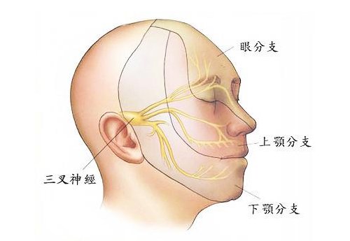 疼痛的级别的天下第一痛
