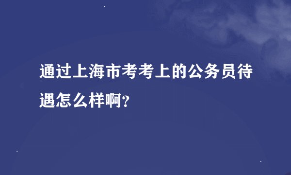 通过上海市考考上的公务员待遇怎么样啊？