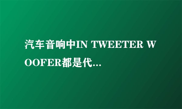 汽车音响中IN TWEETER WOOFER都是代表什么意思啊