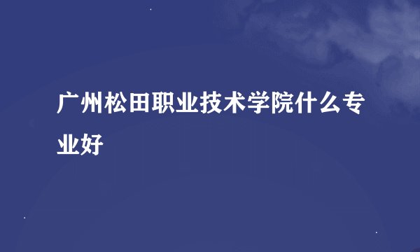 广州松田职业技术学院什么专业好