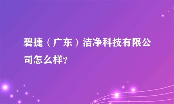 碧捷（广东）洁净科技有限公司怎么样？