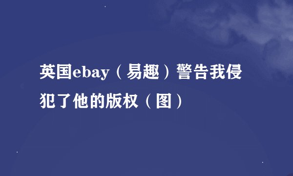 英国ebay（易趣）警告我侵犯了他的版权（图）