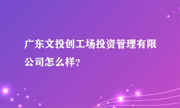 广东文投创工场投资管理有限公司怎么样？