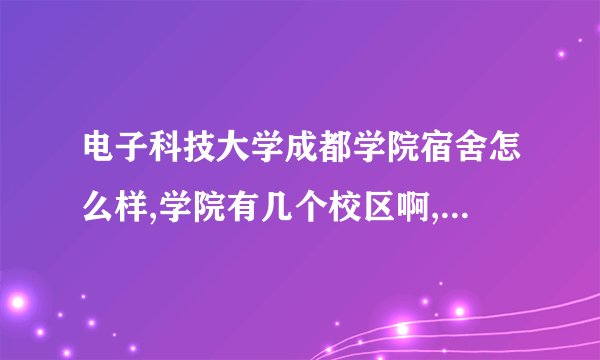 电子科技大学成都学院宿舍怎么样,学院有几个校区啊,学校大不大,在校周围怎么样,只能在学校吃吗?