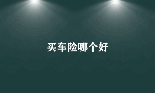 买车险哪个好