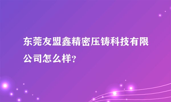 东莞友盟鑫精密压铸科技有限公司怎么样？