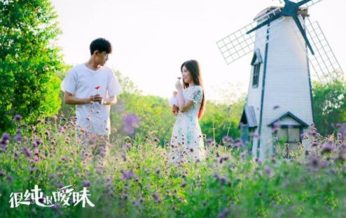 很纯很暧昧大结局是什么