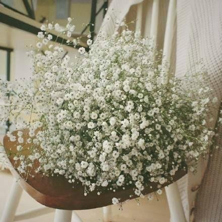 这是什么花？老是陪衬花束。有点垂吊下来的感觉。