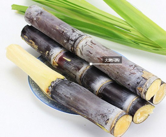 男人贫血的人吃什么补血最快