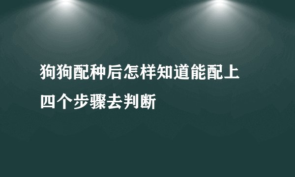 狗狗配种后怎样知道能配上 四个步骤去判断
