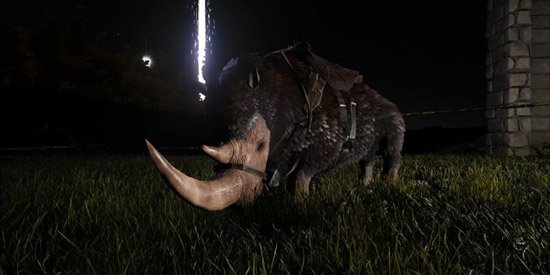 披毛犀角有什么特殊价值吗？