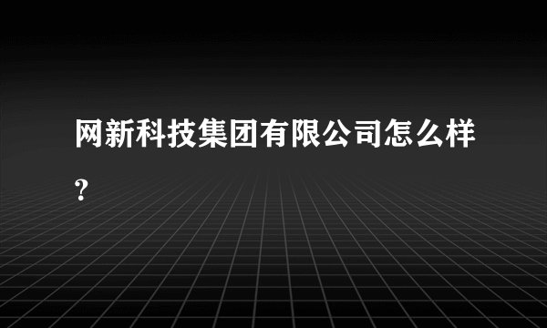 网新科技集团有限公司怎么样？