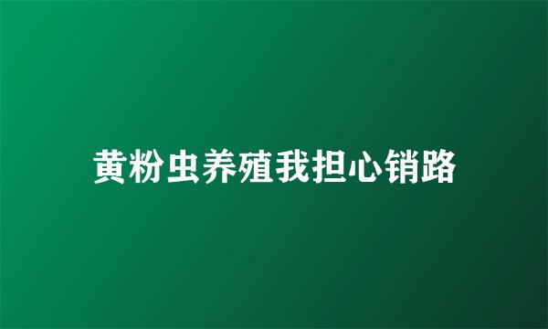 黄粉虫养殖我担心销路