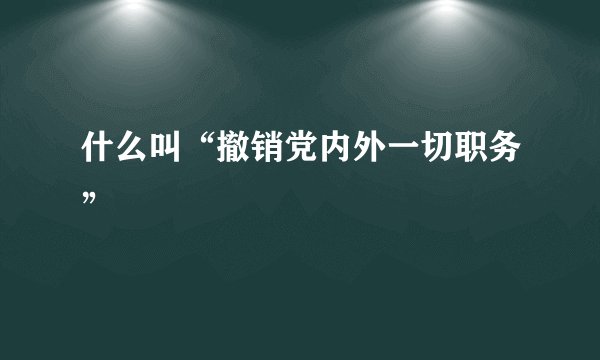 什么叫“撤销党内外一切职务”