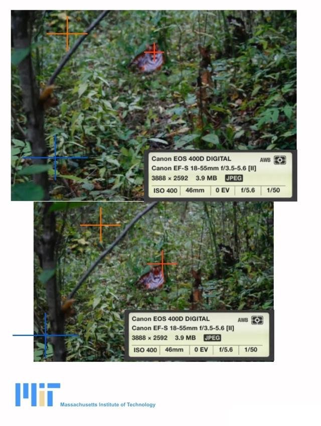 麻省理工公布鉴定结果：周正龙华南虎照为真，真相到底如何？