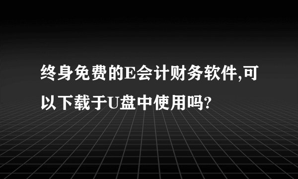 终身免费的E会计财务软件,可以下载于U盘中使用吗?