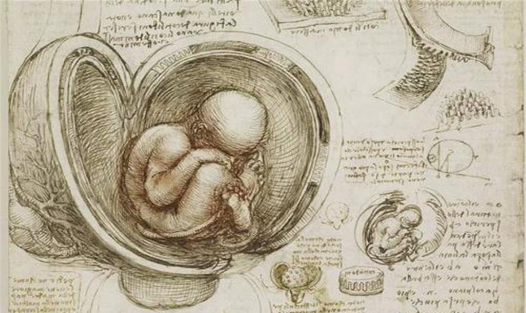 有人说达芬奇是一个外星人，为何会这么说呢？