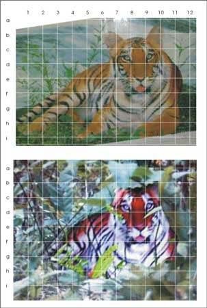 麻省理工公布鉴定结果：周正龙华南虎照为真，真相到底如何？