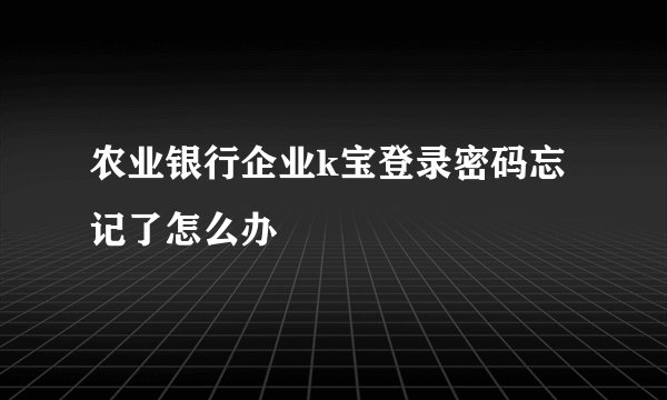 农业银行企业k宝登录密码忘记了怎么办