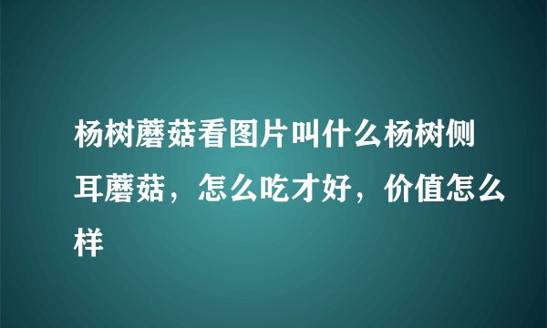 杨树蘑菇看图片叫什么杨树侧耳蘑菇，怎么吃才好，价值怎么样