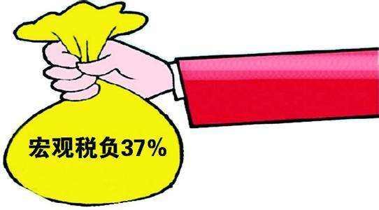 什么是税负率呢？