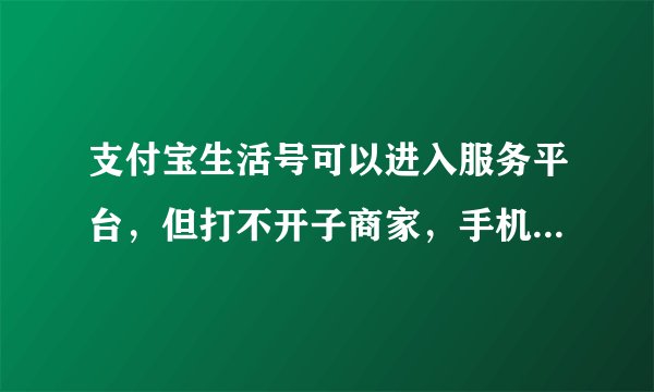支付宝生活号可以进入服务平台，但打不开子商家，手机确定没坏，用别人的手机登陆就可以，为什么