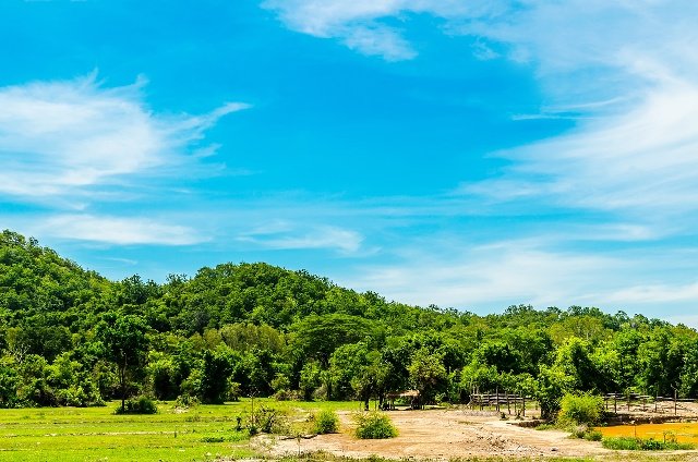 请问买保险理财靠谱吗
