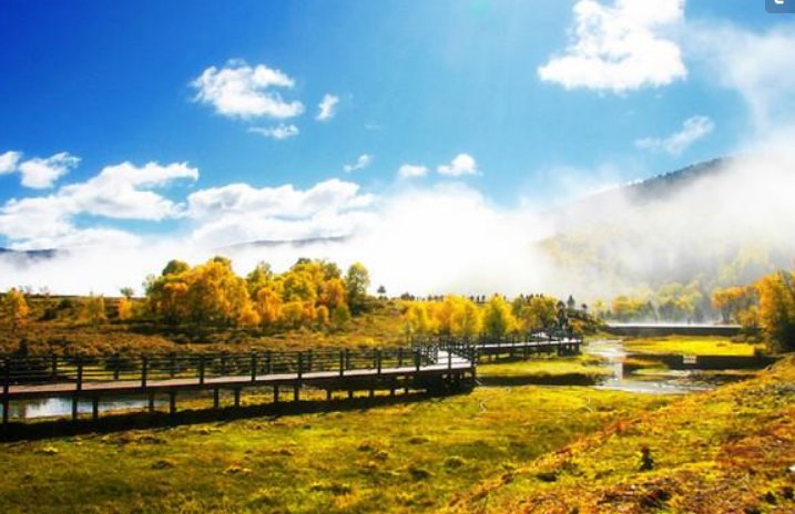 云南昆旅国际旅行社有限公司怎么样？