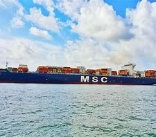 msc的中文是什么