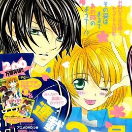 我喜欢你铃木君的故事简介