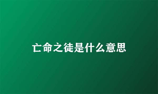 亡命之徒是什么意思