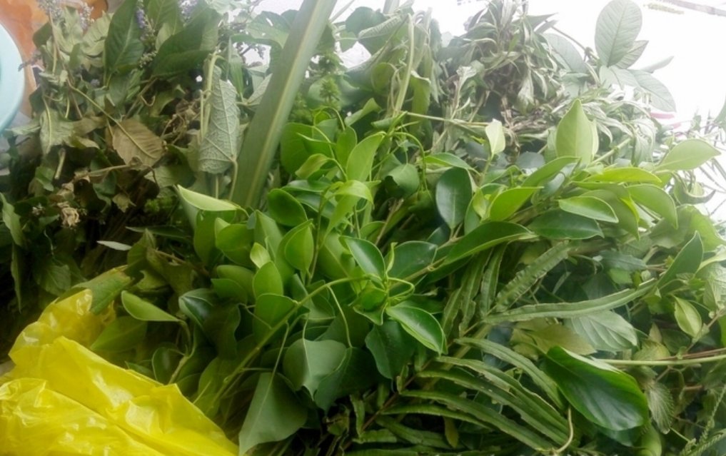 端午节五味草，主要包括哪些