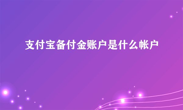 支付宝备付金账户是什么帐户