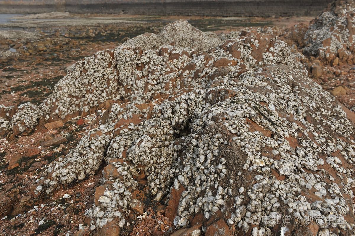 什么是附着力？影响附着力的因素有哪些