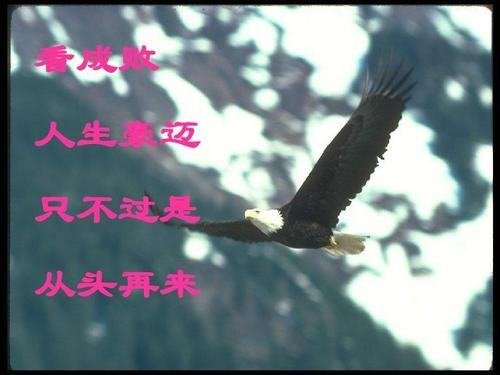 论成败,人生豪迈,大不了从头再来...具体什么意思