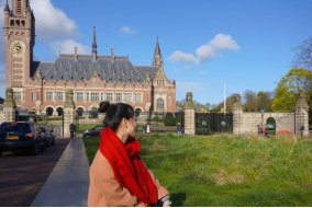 hague是什么意思