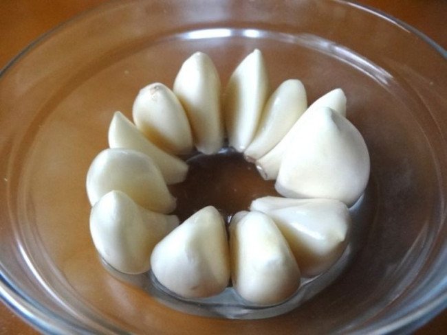 大蒜生长过程步骤图