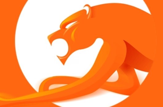 哪个抢票软件好用?