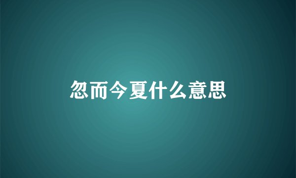 忽而今夏什么意思