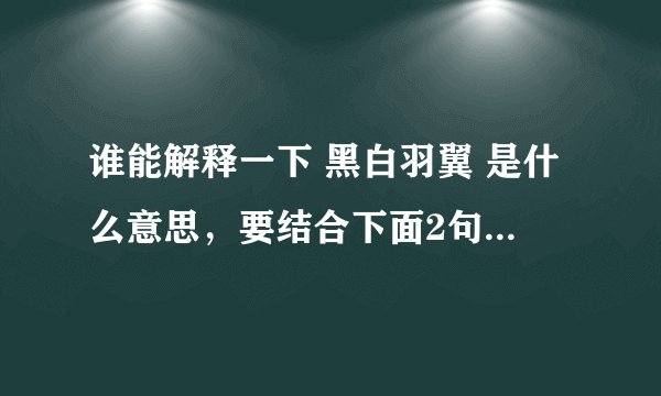 谁能解释一下 黑白羽翼 是什么意思，要结合下面2句话解释。