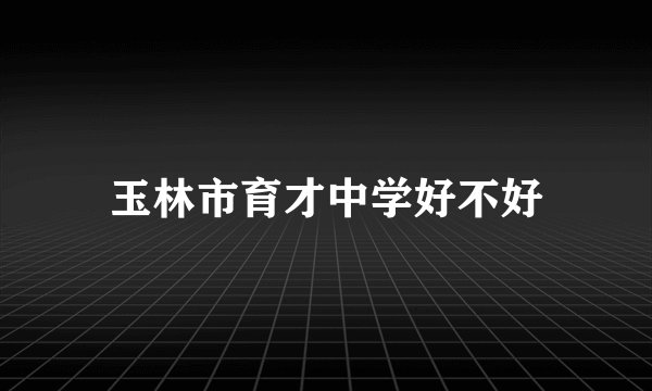 玉林市育才中学好不好