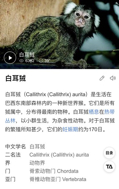 请问这只动物叫什么名字?