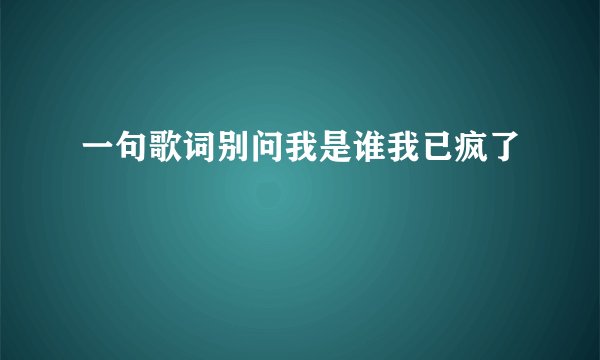 一句歌词别问我是谁我已疯了