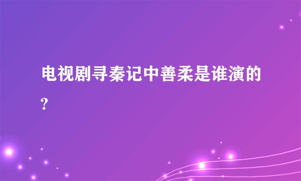 电视剧寻秦记中善柔是谁演的?