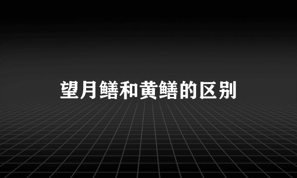 望月鳝和黄鳝的区别